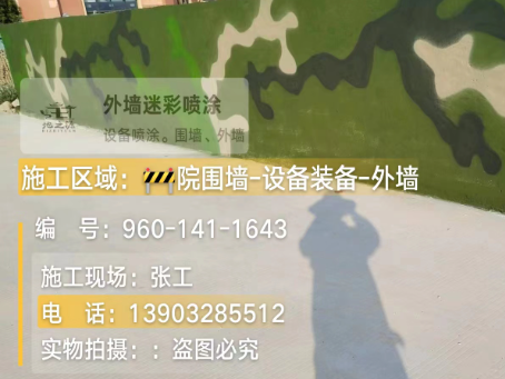 湖南 迷彩漆喷涂价格（按平方米计费）