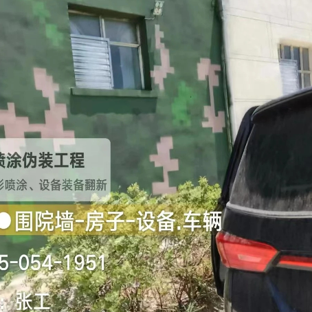 湖南数码迷彩漆施工